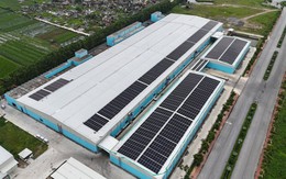 Damsan báo lãi gần 123 tỷ đồng năm 2025, tăng trưởng 89%