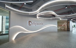 Digiworld (DGW) rót gần 800 tỷ mua Hòa Phát, Techcombank, VPBank