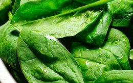 2 loại rau "tăng chiều cao" cho trẻ cực giàu canxi, nhất cái số 1 ngoài chợ bán đầy