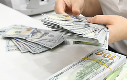 Dự báo mới nhất về giá USD tại Việt Nam năm 2026