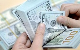 Có phải người giàu thường vay nhiều?