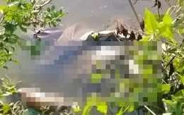 Lời khai của nghi phạm sát hại bé gái 13 tuổi ở Cà Mau