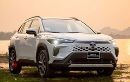 Những mẫu xe hybrid tầm giá dưới 1 tỉ đồng có thể được hưởng chính sách giảm thuế tiêu thụ đặc biệt: Giá liệu sẽ rẻ đến đâu?