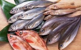 Top 4 loại cá "ngậm" nhiều thủy ngân bậc nhất