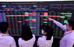 Công khai người hành nghề chứng khoán không hoàn thành tập huấn hàng năm