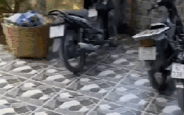 Clip: Bạn miền Tây rủ về nhà chơi, cái kết "nhớ đến già"