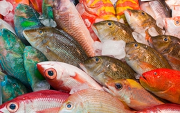 3 bộ phận của cá không nên ăn: Có thứ cực độc nhưng nhiều người tưởng là bổ