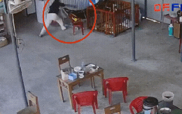 Clip 10 giây nổi da gà: Rắn vắt vẻo trên võng của con nhỏ, phản xạ của người mẹ gây sốc