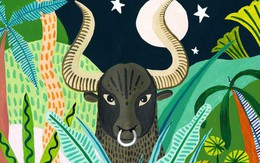 3 con giáp có SỐ HƯỞNG, "quý nhân là thầy hiền", cứ đi học là có người dẫn dắt đến kho báu