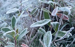 Tin không khí lạnh: Hà Nội rét đậm 10°C, vùng núi cao Bắc Bộ đề phòng băng giá