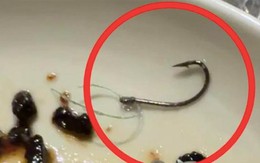 Gắp miếng cá, “trúng” lưỡi câu: Nhà hàng Michelin miễn hóa đơn 22 triệu, khách vẫn lạnh sống lưng