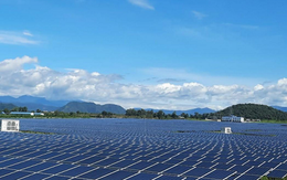 Hai thành viên mảng năng lượng của BB Group bị xử phạt vì 'ém' thông tin