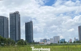 TPHCM xây dựng hệ số điều chỉnh bảng giá đất ra sao?