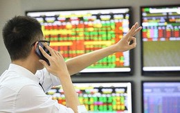 Hai kịch bản cho VN-Index trong tháng 1/2026