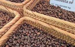 Giá cà phê hôm nay 7-1: Bật tăng, lấy lại mốc quan trọng