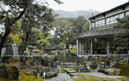 300m² đất thuê, 30 năm chỉ trồng 2 loại cây: Một bài toán “giữ tiền” ngược đời của đôi vợ chồng trung niên