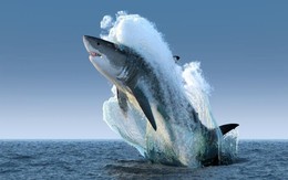 Dòng tiền lớn rục rịch trở lại, chuyên gia hé lộ nhóm cổ phiếu hưởng lợi từ “sóng Tết”