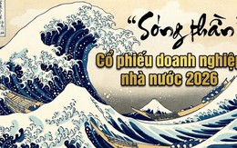 Điểm danh 26 công ty trên sàn có tỷ lệ sở hữu Nhà nước 'cô đặc' từ 65% - 99%: Kỳ vọng sóng lớn từ thoái vốn?