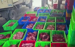 Phát hiện đường dây mua bán hơn 130 tấn thịt lợn bệnh