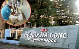 Vụ hơn 120 tấn thịt lợn nhiễm bệnh ôi thiu tuồn vào Công ty Đồ hộp Hạ Long: Người thu mua khai gì?