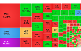 Chứng khoán ngày 8/1: VCB tím trần, VN-Index điều chỉnh