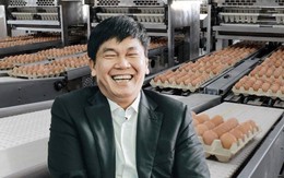 Nông nghiệp Hòa Phát hoàn tất IPO: Thu về 1.200 tỷ, Vietcap mua gần 12 triệu cổ phiếu, chiếm 39% lượng chào bán