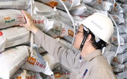 Mỗi nhân viên mang về gần hơn 900 triệu doanh thu/tháng, Đạm Phú Mỹ (DPM) toan tính gì cho năm 2026?