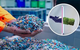 Phát minh làm thay đổi thế giới của người Đức: Biến rơm rạ, bã mía thành nhựa sinh học - sẽ là 'cứu tinh' cho 150 triệu tấn phụ phẩm nông nghiệp mỗi năm của Việt Nam?
