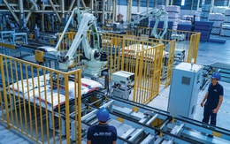 Nông nghiệp Hòa Phát hoàn tất IPO 30 triệu cổ phiếu, tăng vốn điều lên 2.850 tỷ đồng