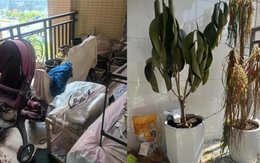 Người giàu không bao giờ đặt 5 thứ này ở ban công, người nghèo lại vô tư chất đống