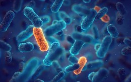 Bệnh viện Hiệp hội Y khoa Trung Quốc cảnh báo về "đại dịch" nghiêm trọng gây nên “thảm họa” cho nhân loại