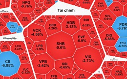 Chứng khoán ngày 9-1: VN-Index tăng hơn 12 điểm, cổ phiếu bất động sản bị bán tháo