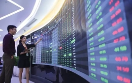 Cổ phiếu bất động sản nằm sàn, VN-Index vẫn lập đỉnh mới