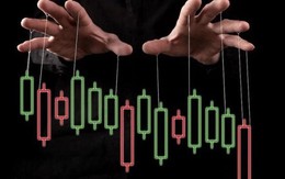 2 cá nhân dùng 26 tài khoản thao túng cổ phiếu SJS: Giá tăng hơn 60% nhưng không có khoản thu trái pháp luật