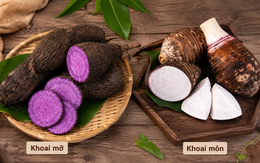 Mùa thu đừng bỏ qua 3 thực phẩm quen thuộc này: Ăn đều giúp bồi bổ tỳ vị, hỗ trợ khí huyết