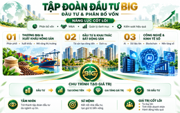 Tập đoàn BIG: Vừa trả xong cổ tức, đón quỹ ngoại làm cổ đông lớn