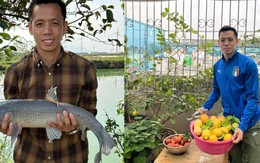 Cây chanh vàng của Văn Quyết