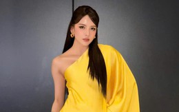Thu nhập của Thiều Bảo Trâm