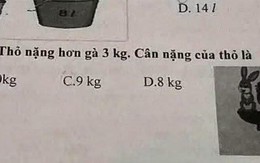 Bài Toán tính gà thỏ khiến ông bố nửa đêm mất ngủ: 200 người vào cuộc vẫn thấy đáp án quá mông lung