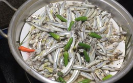 Phát hiện 3 loại cá giàu canxi hơn cả sữa, chứa cả "vựa" omega 3: Cực tốt cho sức khỏe