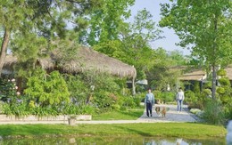 Bỏ phố lên núi nghỉ hưu ở tuổi 34, đêm đến tôi lại không dám ra khỏi nhà