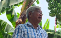 'Vua chuối' Việt Nam tay trắng làm nên cơ nghiệp 20 triệu USD/năm: Ngoài 70 tuổi vẫn dậy từ 5h sáng, tự nhận 'mình dở nên phải làm nhiều'