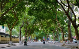 Từ nay đến 23/10, toàn bộ người dân Hà Nội sẽ được miễn phí 100% dịch vụ này