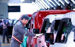 Về Hà Tĩnh, tỷ phú Phạm Nhật Vượng tìm 1.900 nhân sự cho VinFast: Nam cao trên 1m60, nặng từ 50kg, nữ cao trên 1m50, nặng từ 40kg