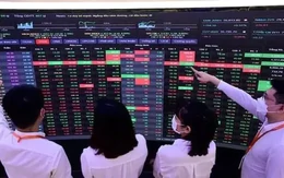 Dự báo bất ngờ về lợi nhuận nhóm chứng khoán, dầu khí, phân bón trong năm 2027
