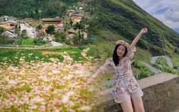 Chỉ còn 9 ngày nữa, 240ha hoa tam giác mạch đẹp nhất Việt Nam chính thức mở cửa, có nơi người dân được ngắm miễn phí