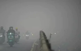 Ứng phó đợt cháy rừng nghiêm trọng nhất trong hơn 1 thập kỷ, Indonesia đồng ý nhận hỗ trợ nước ngoài