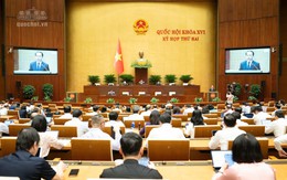 Trình Quốc hội phương án đặt cọc lên 50% giá khởi điểm khi đấu giá đất ở