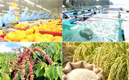 Xuất khẩu nông, lâm, thủy sản 9 tháng tăng 7,8%