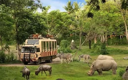 Hà Nội tiếp nhận ý kiến của người dân về dự án Safari Ba Vì